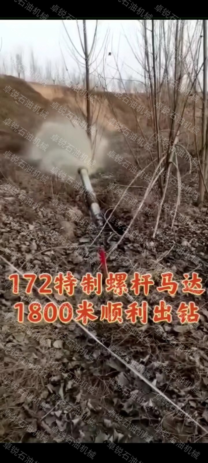 1665905336151169.jpg